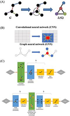 Modeling functional connectivity changes during an auditory language task using line graph neural networks